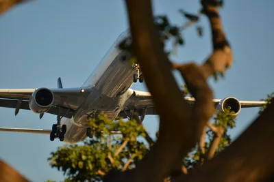 DSC_5748 (Large).JPG